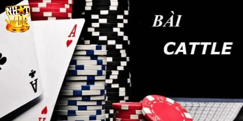Bài Catte - Khám Phá Cách Chơi Cực Đơn Giản Cùng Nhatvip Giới thiệu đôi nét về game bài catte
