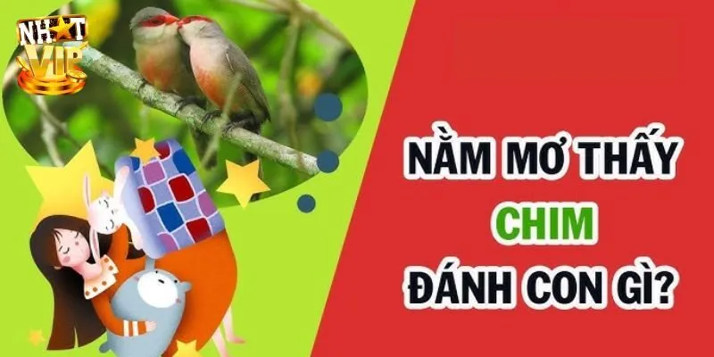 Giải mã con số may mắn cho người nằm mơ thấy chim