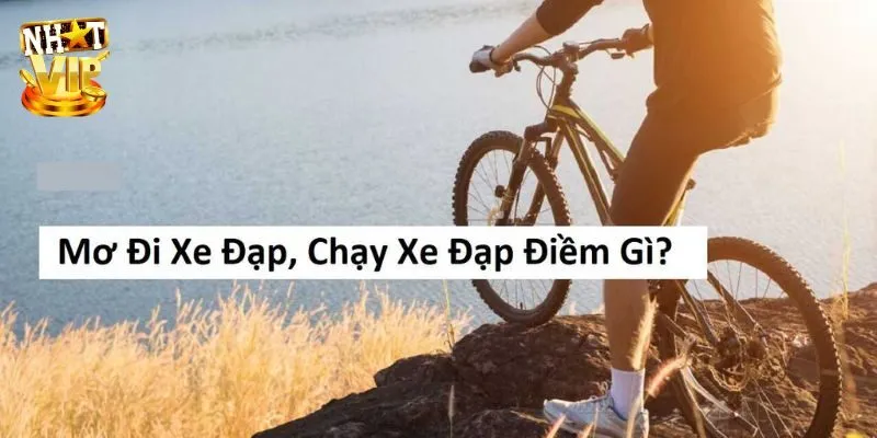 Mơ Thấy Xe Đạp - Giải Mã Bí Ẩn, Con Số May Mắn Cùng Nhatvip Mơ thấy xe đạp đánh số để săn thưởng khủng?