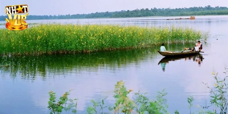 Mơ Thấy Sông Nước - Giải Mã Điềm Báo Cùng Con Số May Mắn Nhìn thấy mình bị rơi xuống sông trong mơ