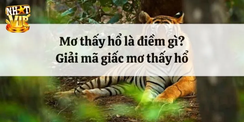 Mơ Thấy Hổ - Khám Phá Ý Nghĩa Và Con Số May Mắn Cùng Nhatvip Giải mã điềm báo về giấc mơ thấy hổ mới nhất 2024