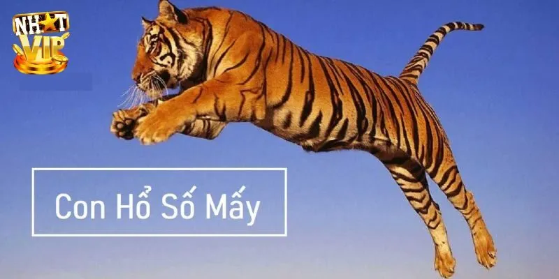 Mơ Thấy Hổ - Khám Phá Ý Nghĩa Và Con Số May Mắn Cùng Nhatvip Nằm mơ thấy hổ đánh con gì có tài vận lô đề?