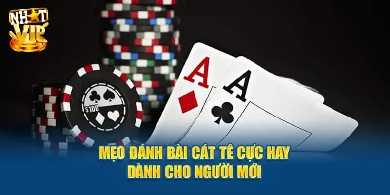 Quy trình đánh bài catte đơn giản cho newbie