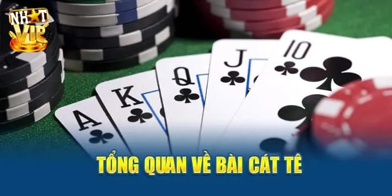 Bài catte là gì?